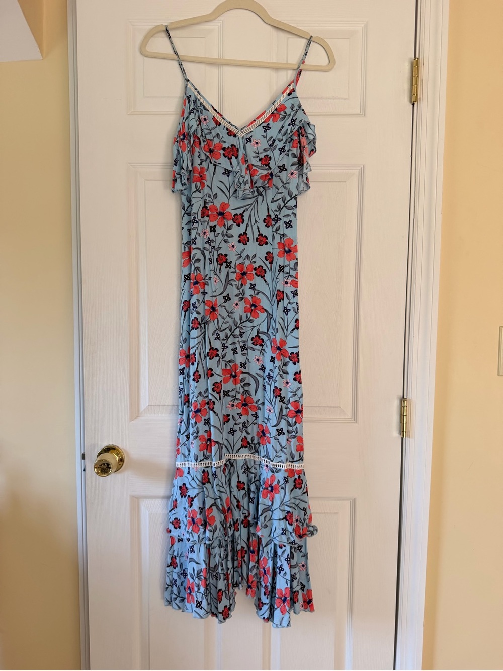 Nasty Gal Light Blue Floral Ruffle Maxi Dress with Red Bloom Print